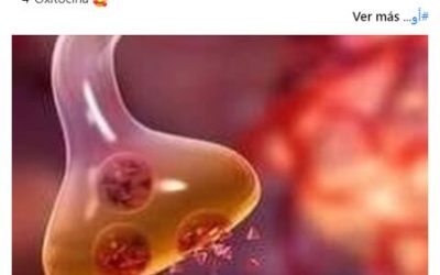 Biología del estado de humor de las personas.